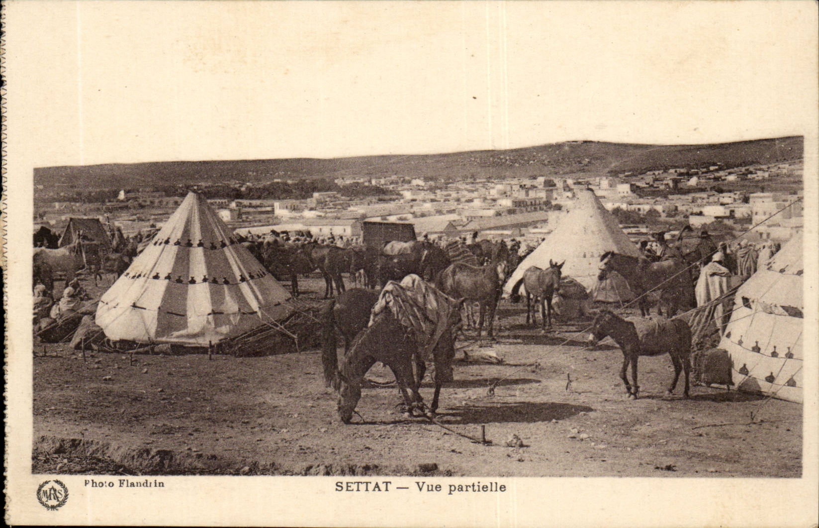 Morocco Morocco Settat - CPA- Horses and decorated tents