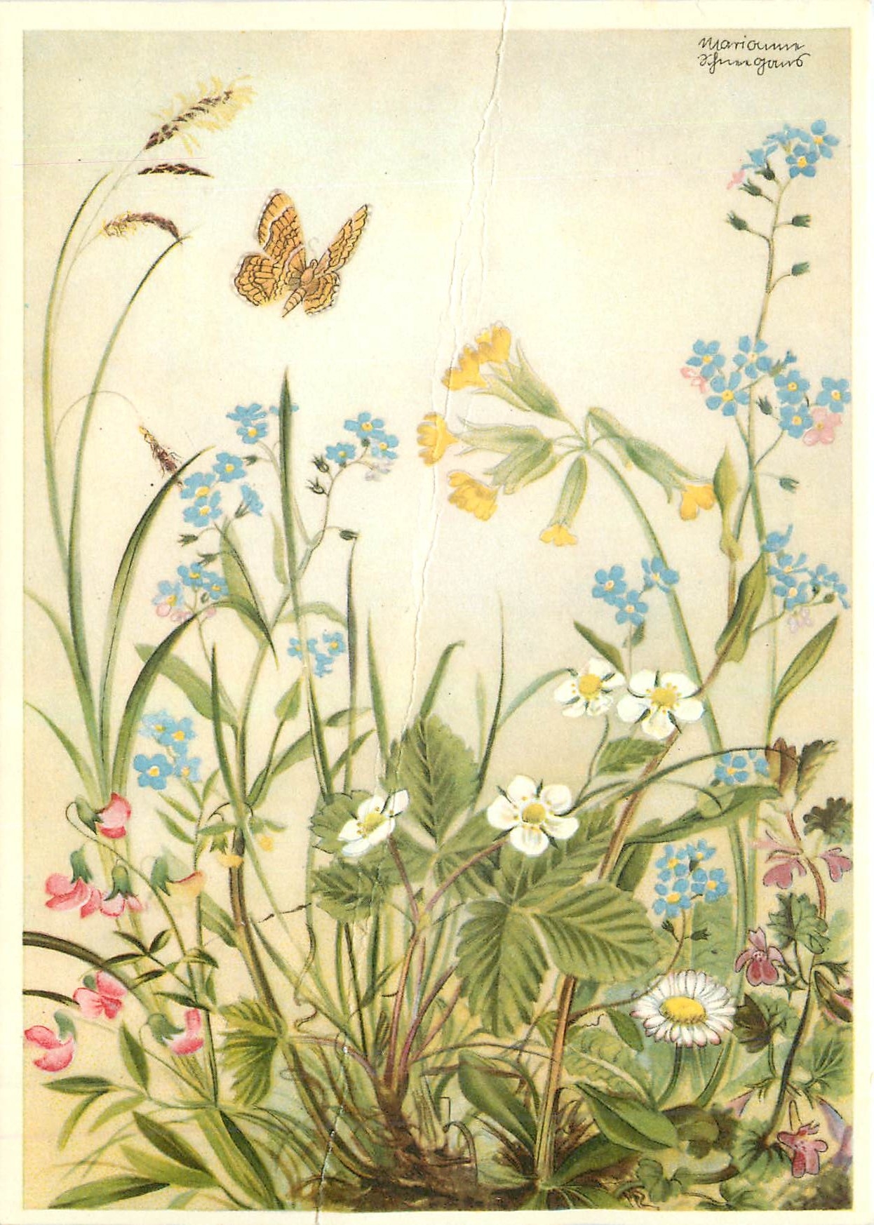 CPM Walter Classen Kunstverlag Zurich