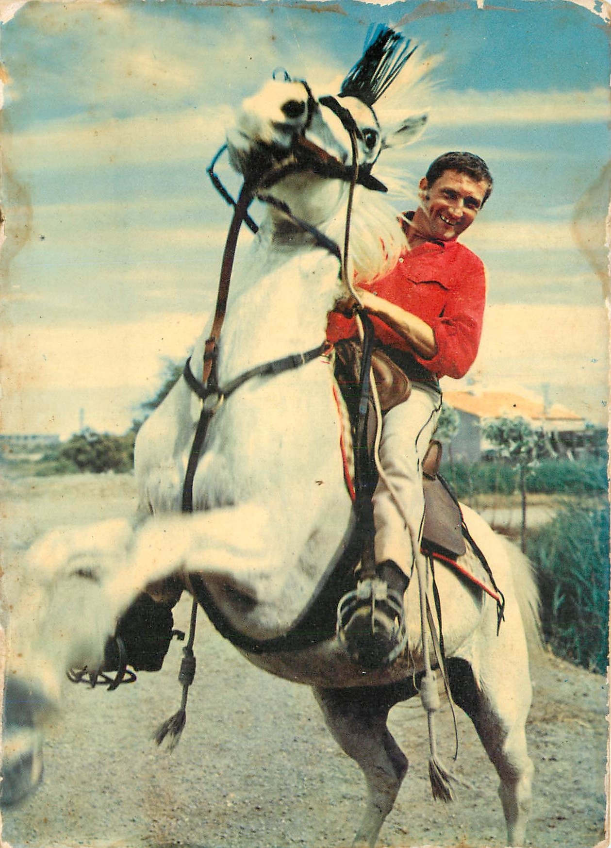 CPM Au Soleil de la Camargue Dressage d'un cheval Camarguais 