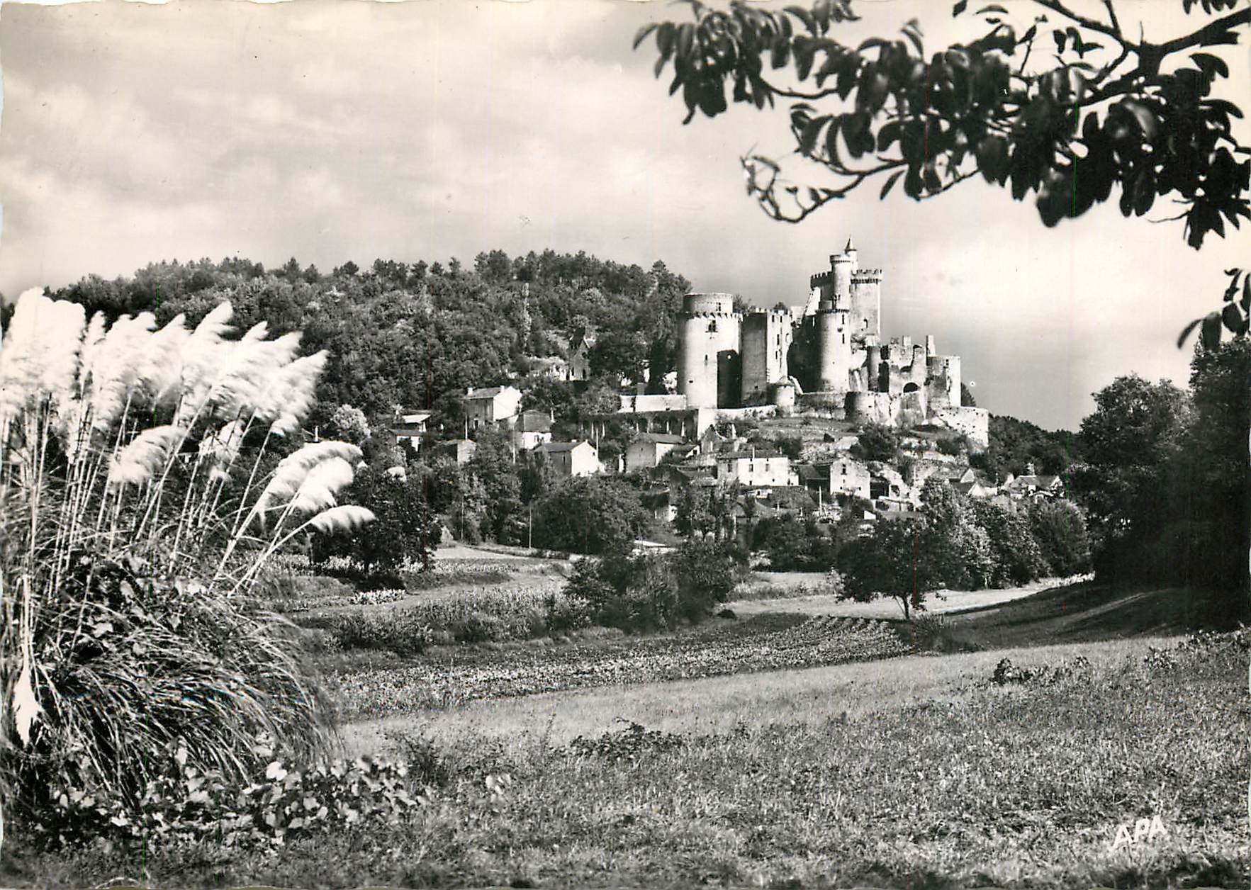CPM Chateau de Bonaguil Monument Historique 