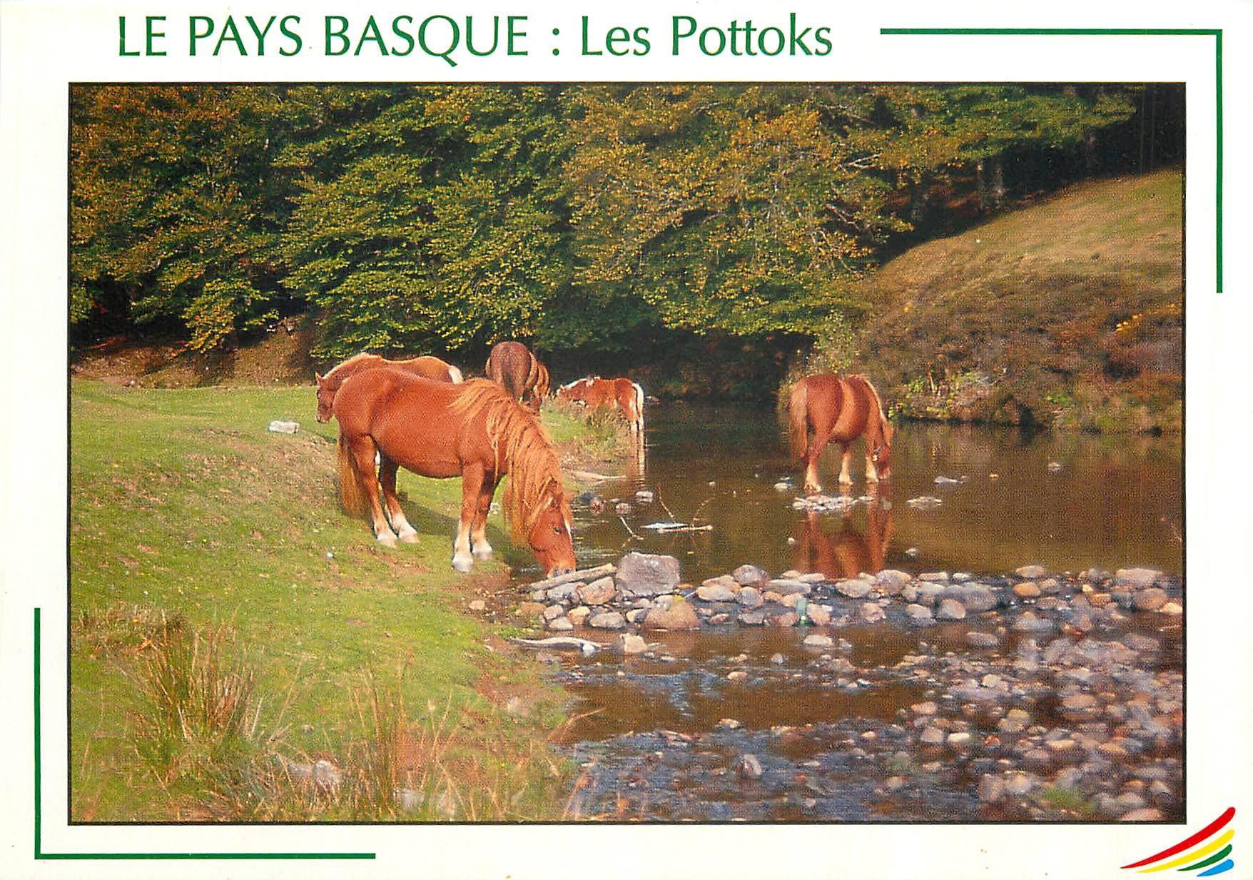 CPM Le Pays Basque Les Pottoks 