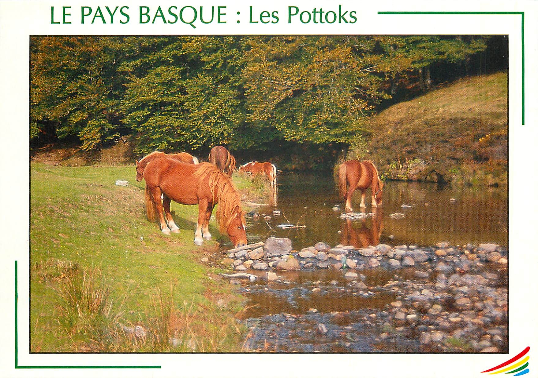 CPM Le Pays Basque Les Pottoks 