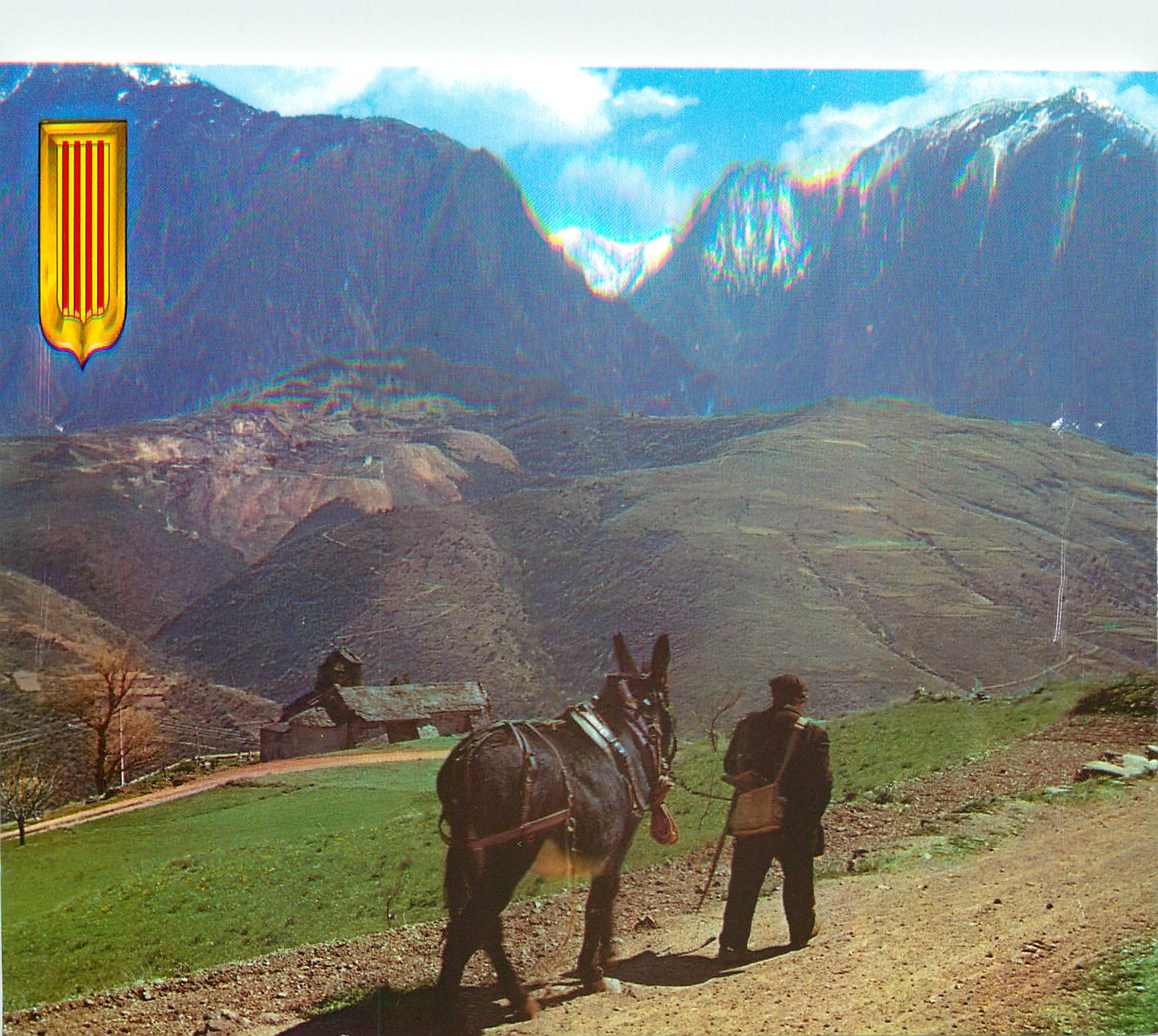 CPM Lumiere et Couleurs du Roussillon Scene paysanne des hautes Vallees