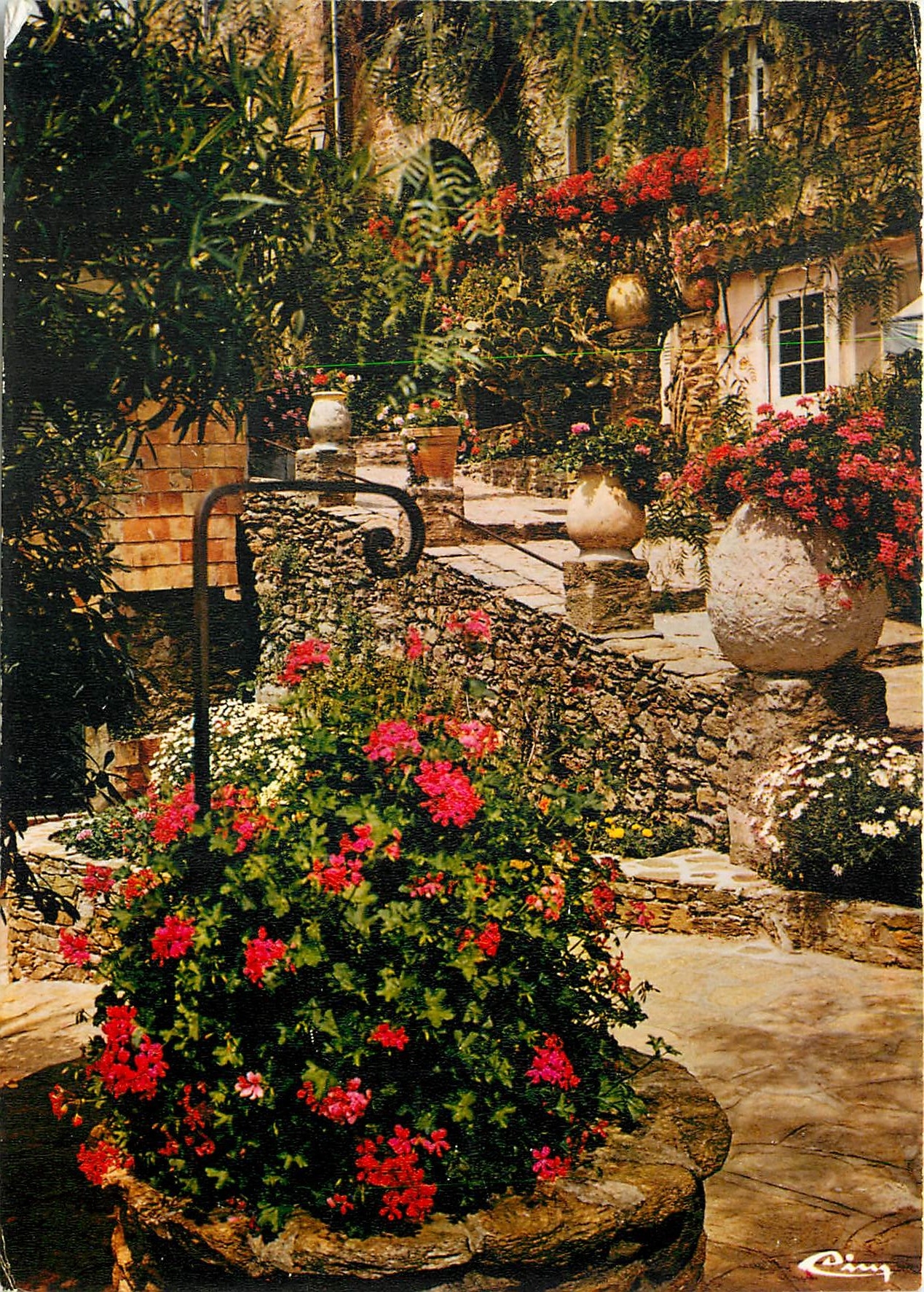 CPM Bormes les Mimosas Var 