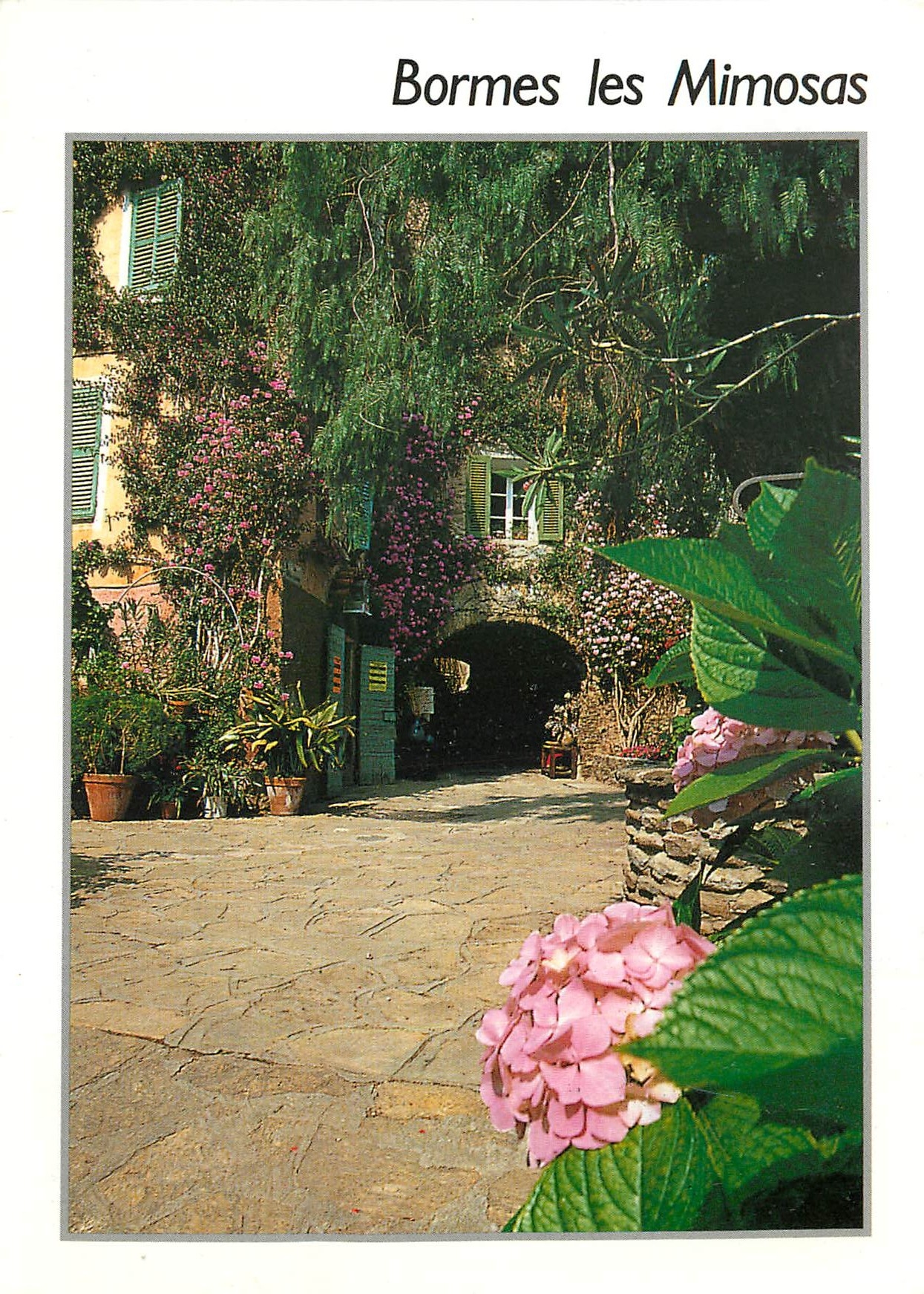 CPM Bormes les Mimosas Var 