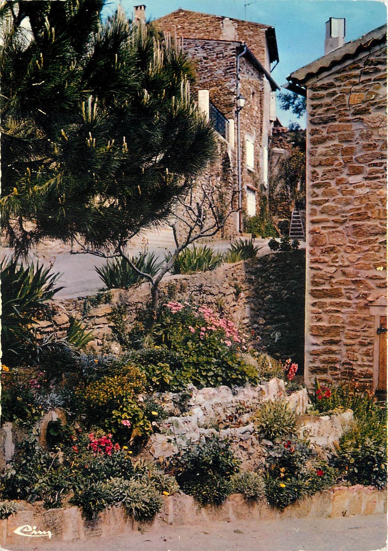 CPM Cote d'Azur France Bormes les Mimosas Var Vieille rue