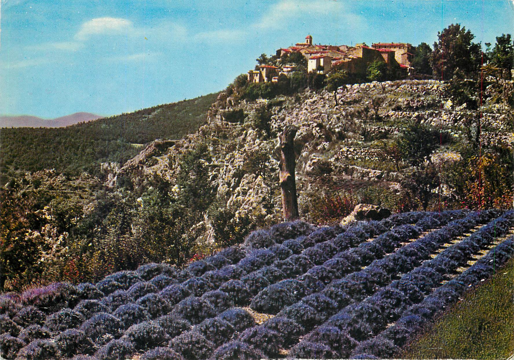 CPM Gourdon Champ de Lavande et vieux Village