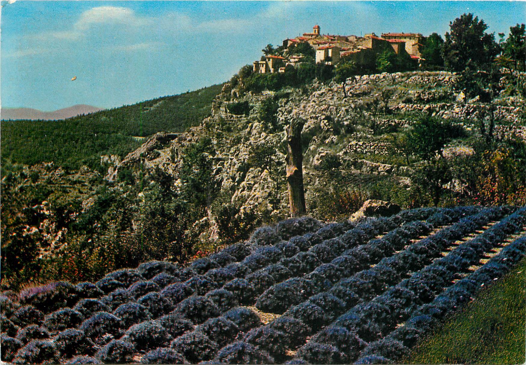 CPM Gourdon Alpes Maritimes Village pittoresque perche a 760 m