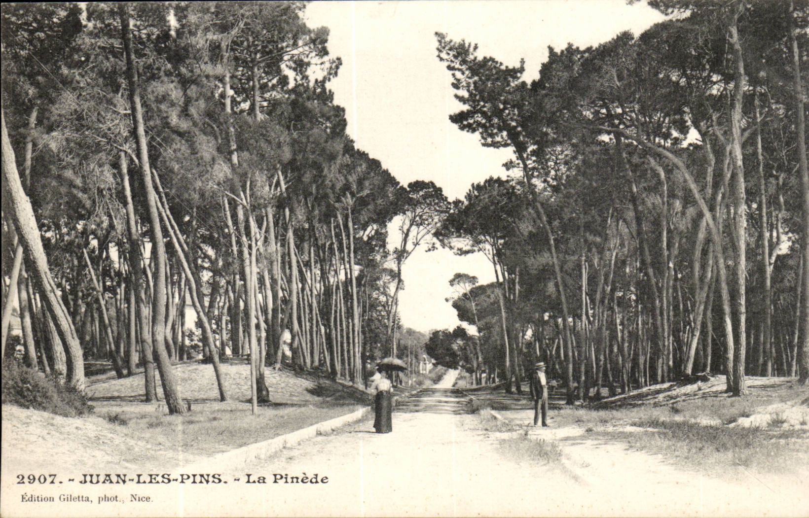 Juan-The-pines Pine forest CPA