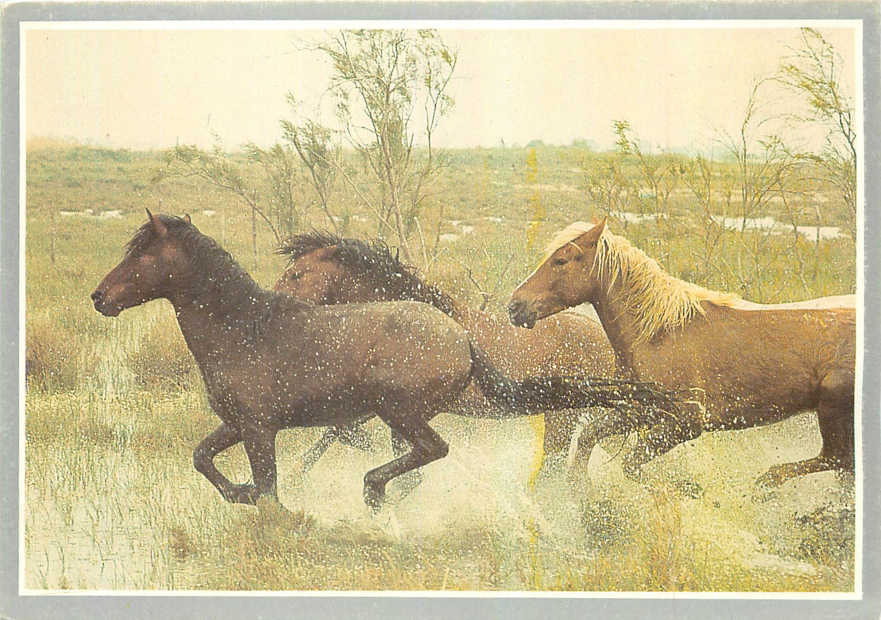 CPM Les Amis du Cheval et de la Nature 