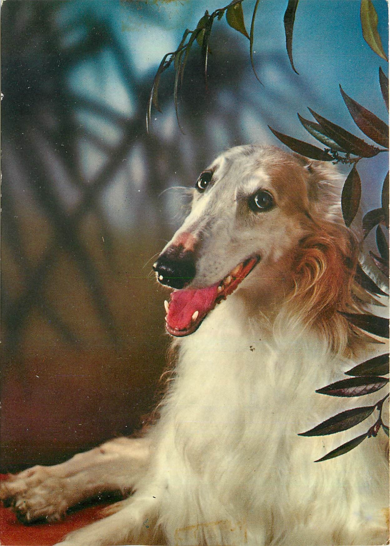 CPM Chien Levrier
