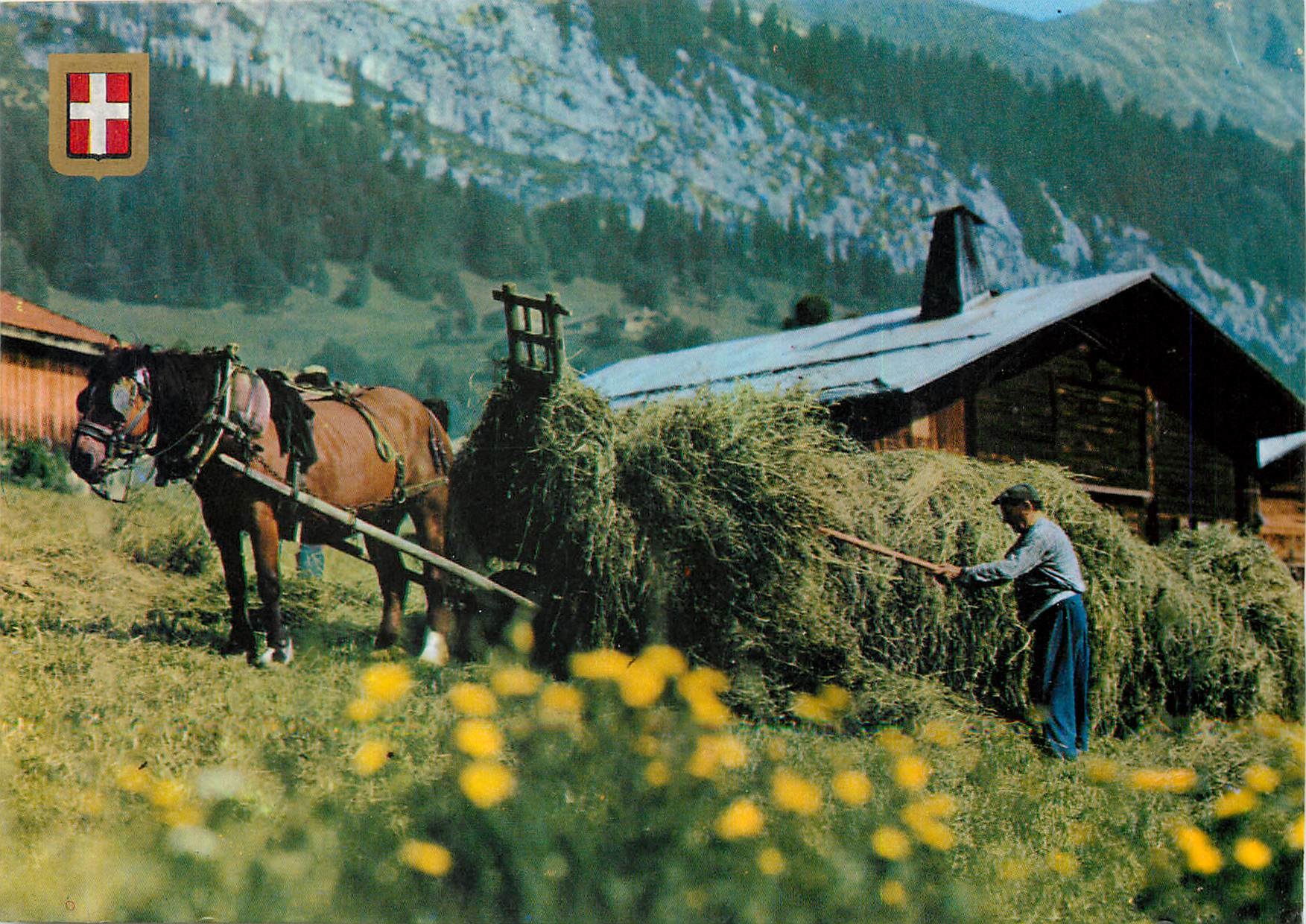 CPM Fenaison en montagne 