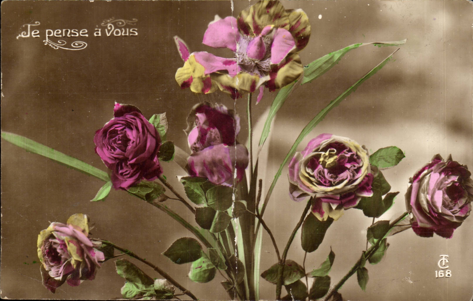 Ich denke muss Sie weg von Ihnen Rose denkend - CPA