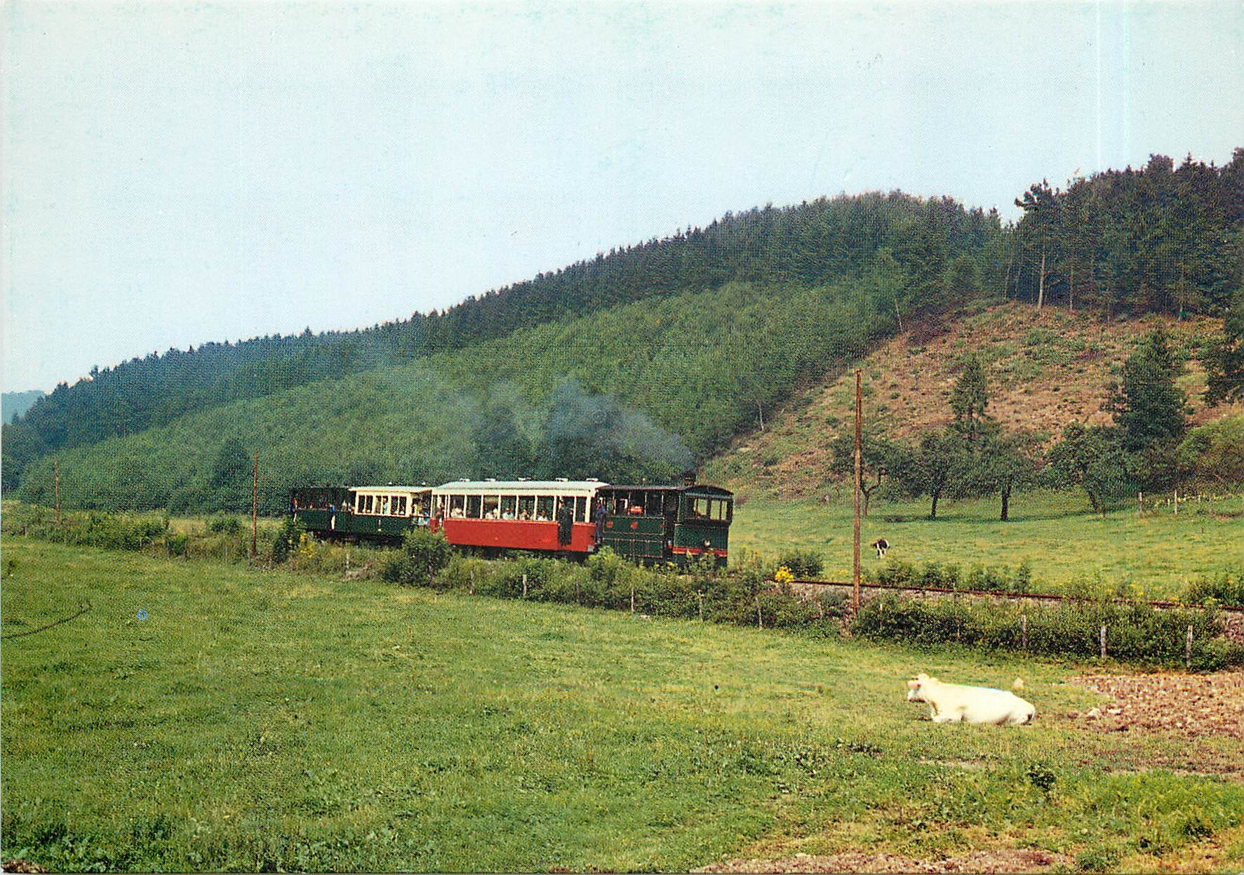 CPM Tramway Touristique de l'Aisne Erezee Ardennes Belges Flanerie dans les pres de Blier