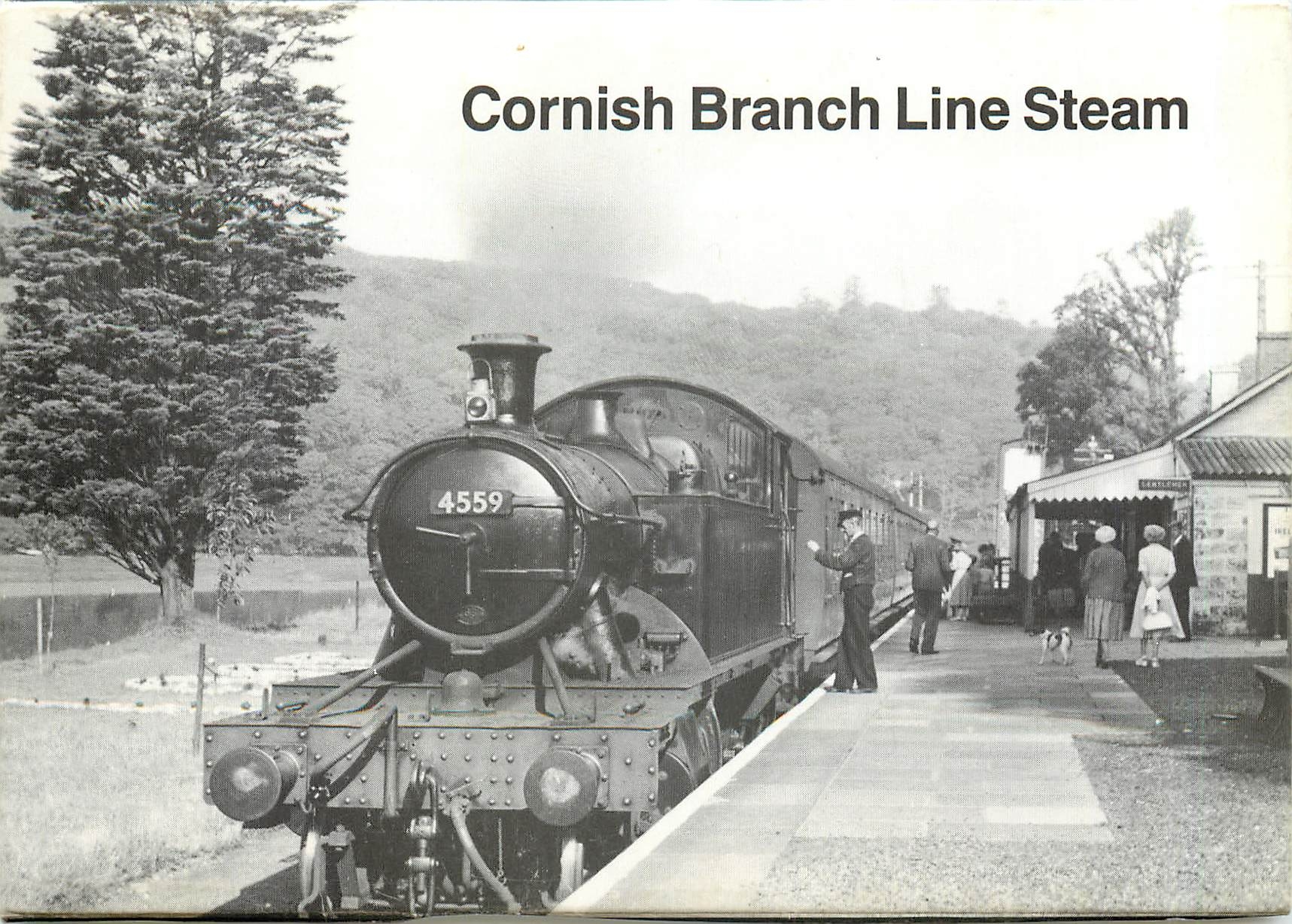 CPM Cornish Branch Line Steam 
