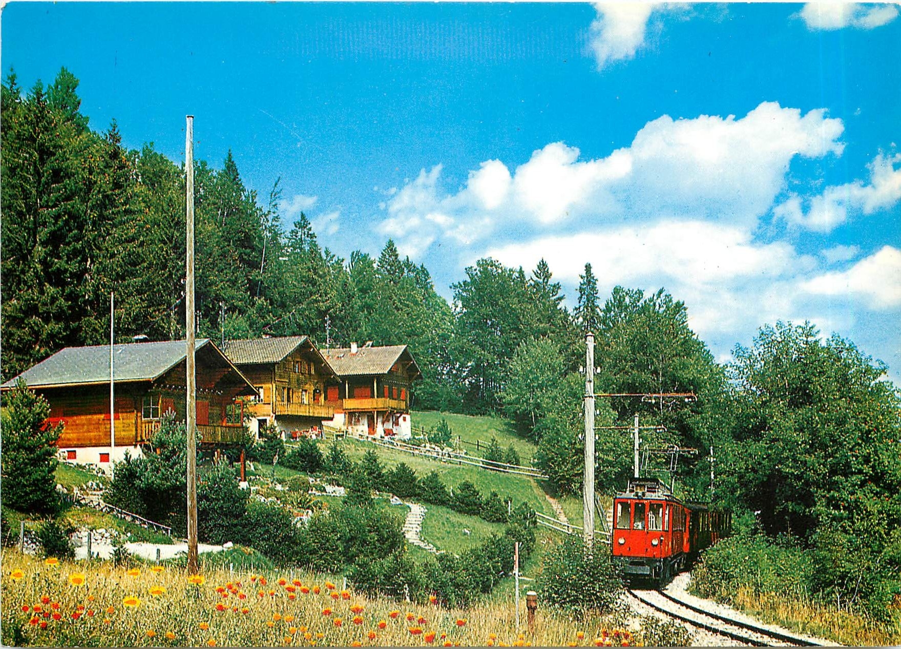 CPM St. Cergue Chemin de fer Nyon-St.Cergue-La Cure-Morez