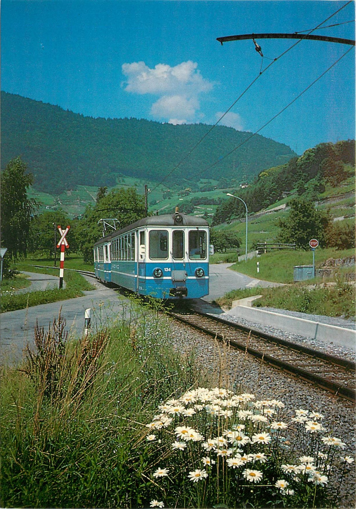 CPM Train Bleu Aigle-Monthey dans le Site d'Ollon