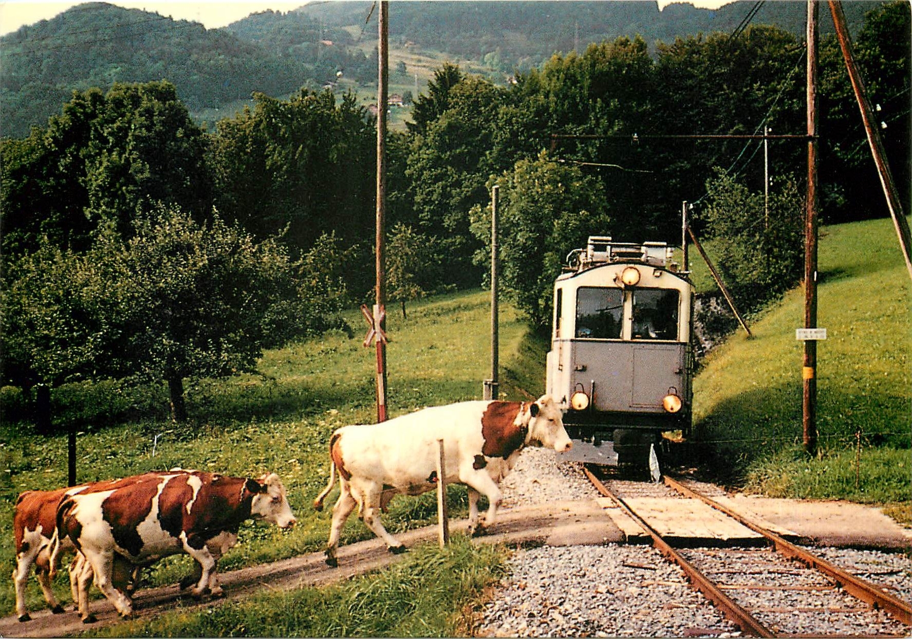 CPM Une belle rencontre Ferroviaire et Fermiere