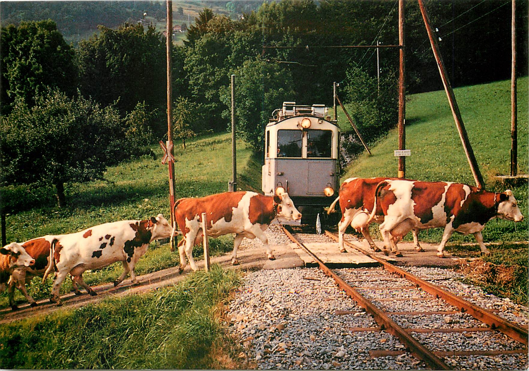 CPM Une belle rencontre sur le passage a niveau de Cornaux