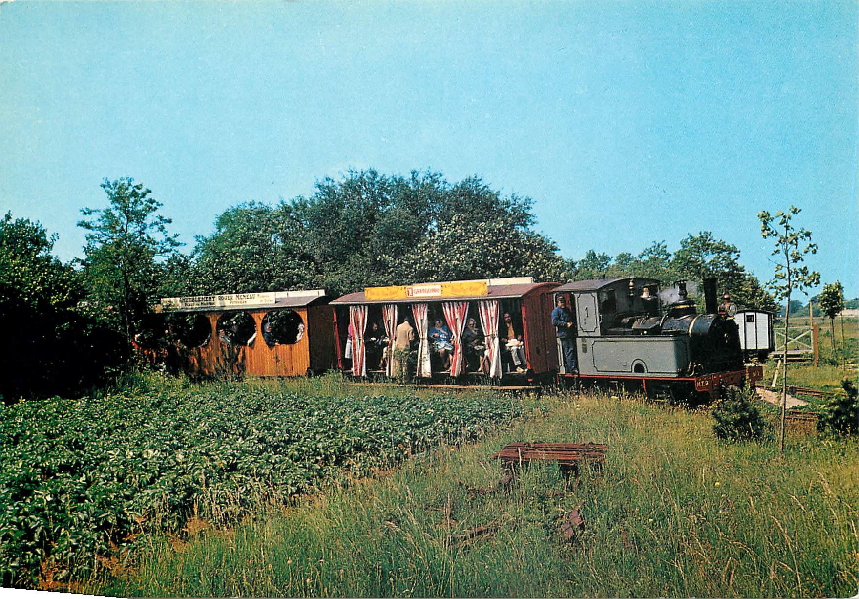 CPM Le train a vapeur sortant du bois de Bellebat