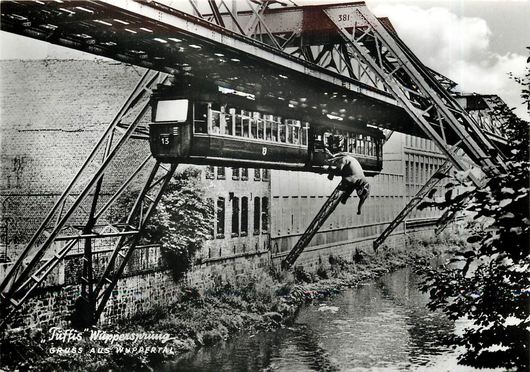CPM "Tuffis" Wassersprung aus der Schwebebahn am 21. Juli 1950 kurz vor der Adlerbruecke