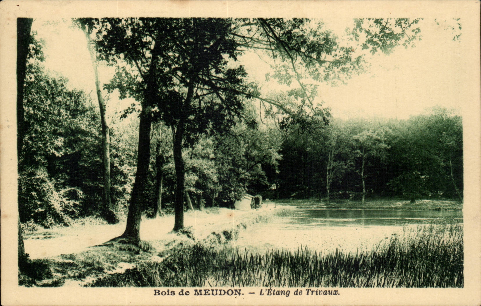 Holz von Meudon CPA der Teich von Trivaux