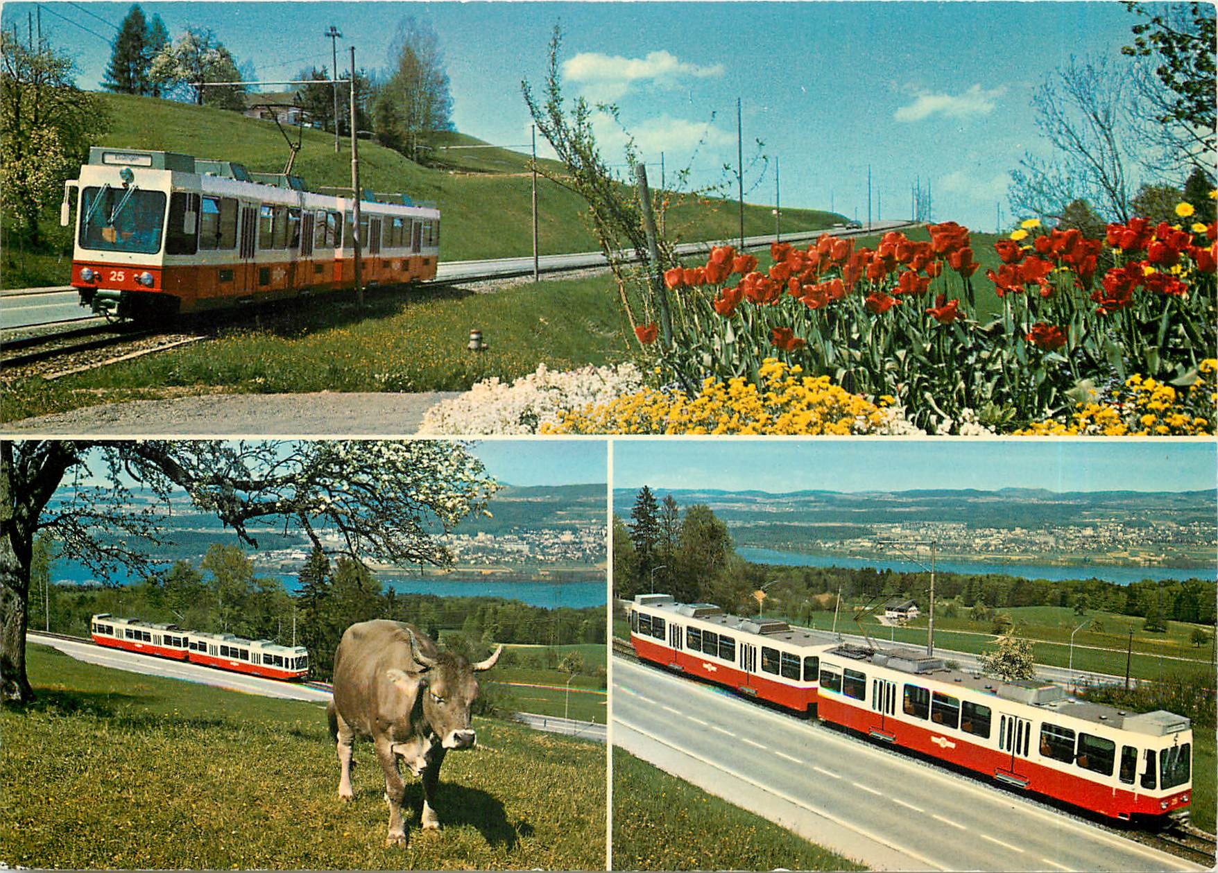 CPM Die Forchbahn Zurich Stadelhofen und Esslingen