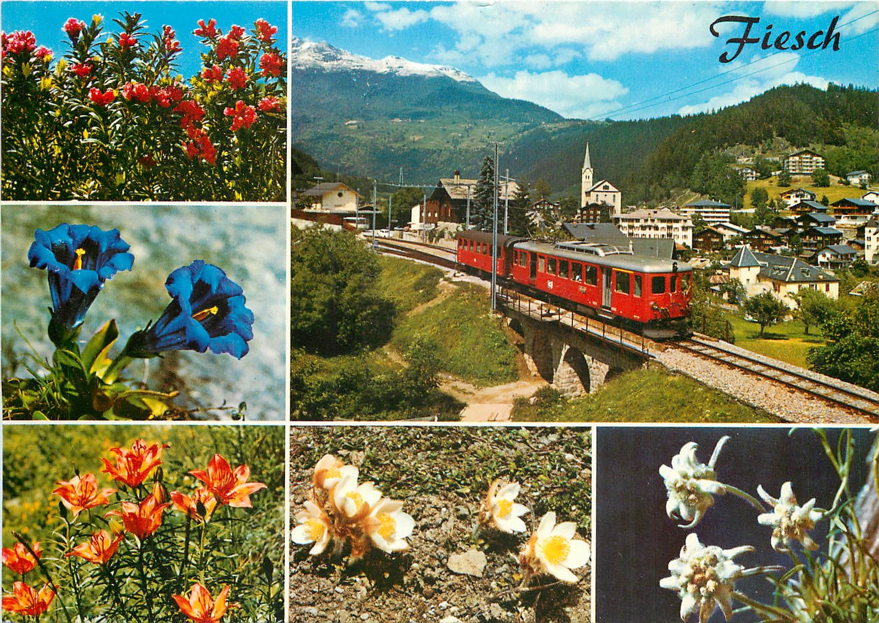 CPM Fiesch mit Furka Oberalp Bahn