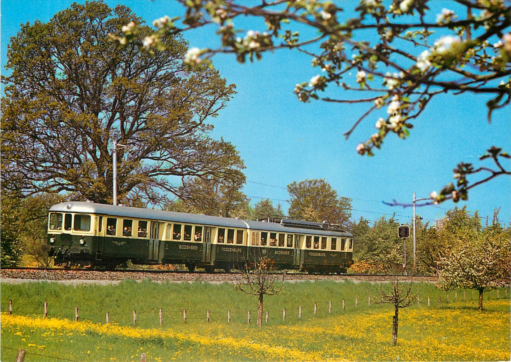 CPM Bodensee Toggenburg Bahn Bluestfahrt im Thurgau 