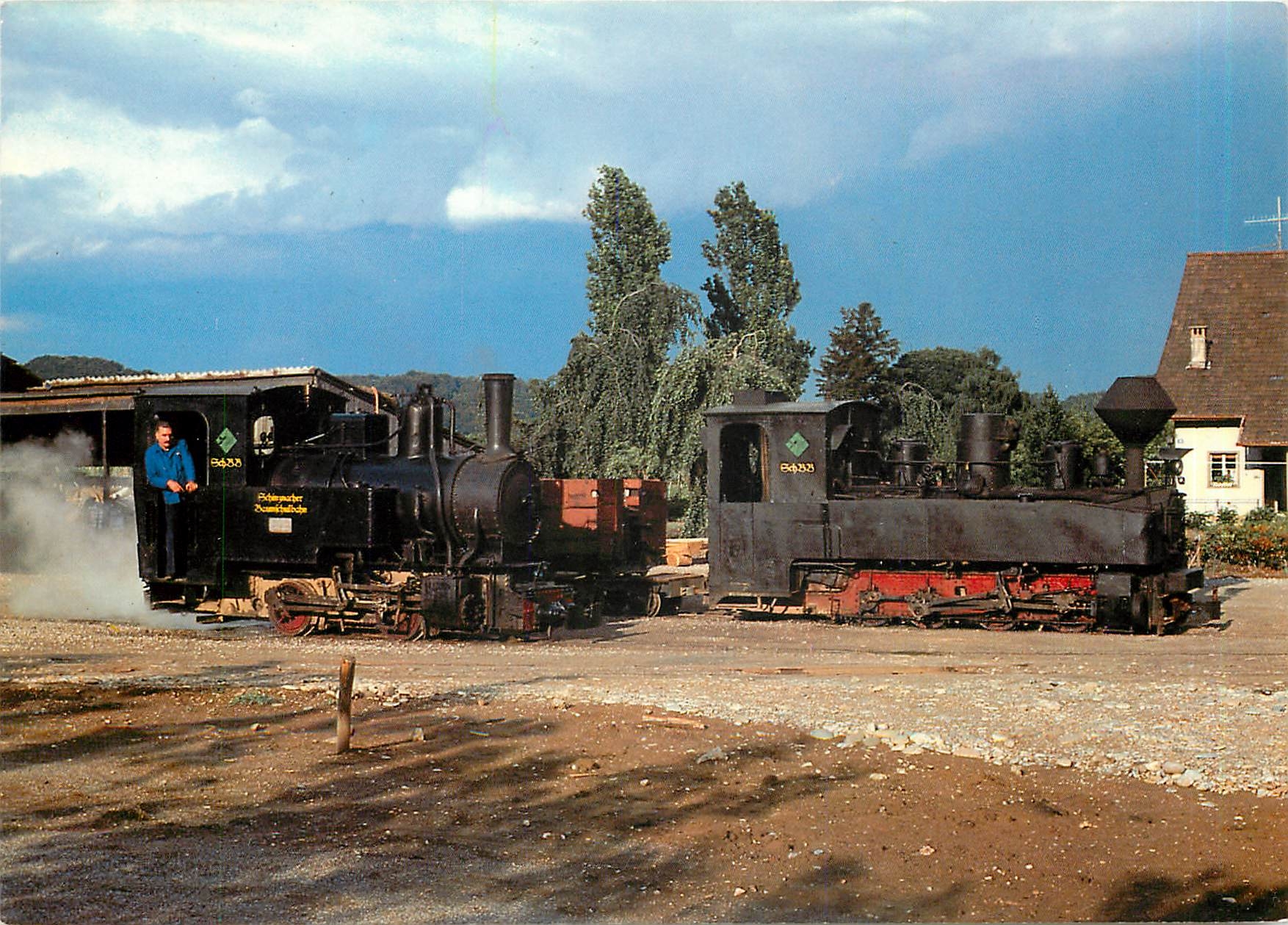 CPM Schinznacher Baumschulbahn Hermann Zulauf Damplokomotiven Pinus und Taxus