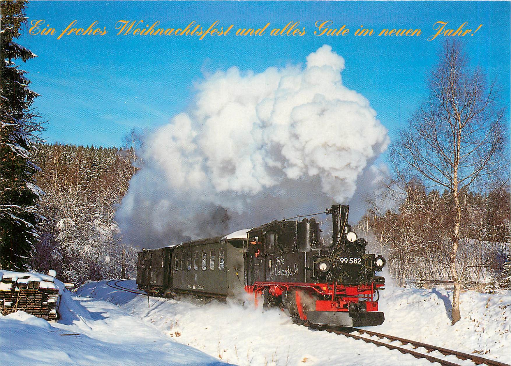 CPM IG Schmalspurbahn Schonheide Carlsfeld eV 99 582