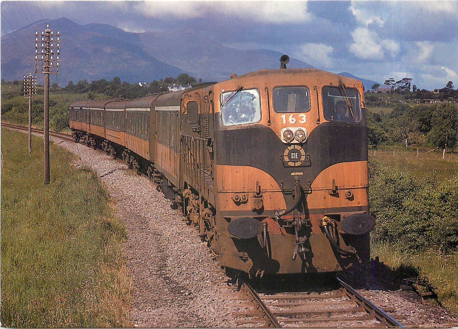 CPM Locomotive 163 near Killarney 