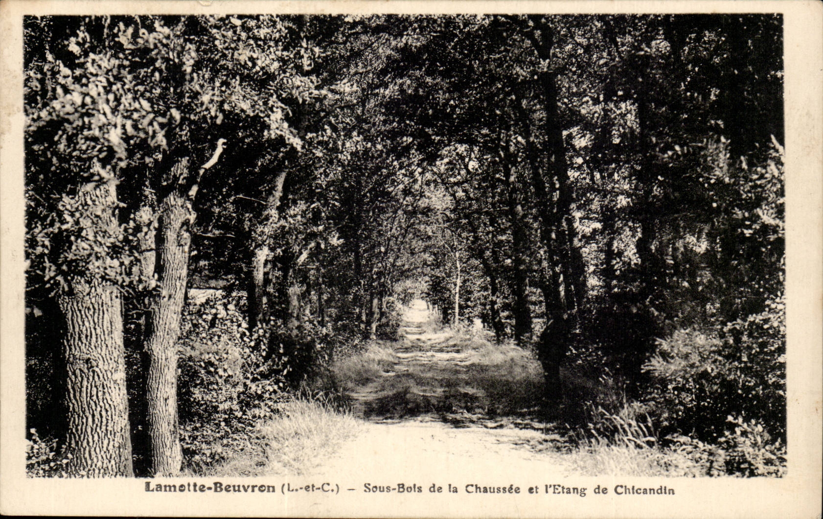 Lamotte Beuvron CPA Under wood of the roadway and the pond of Chicandin