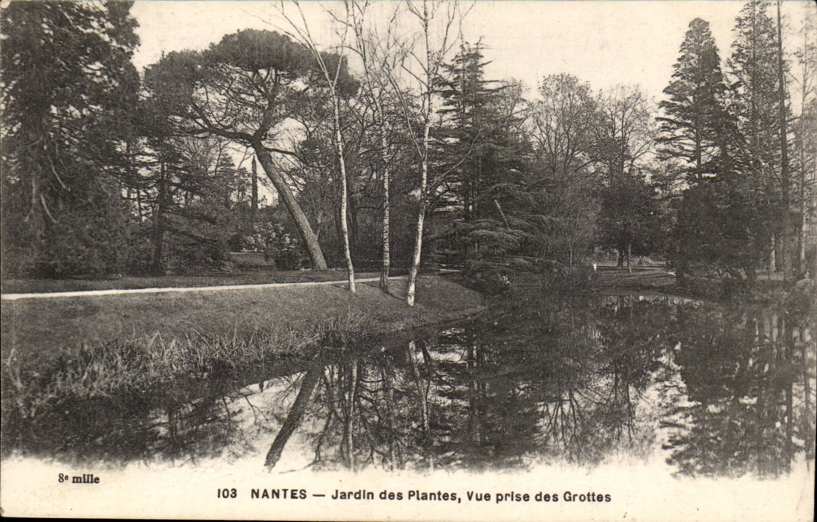 Nantes CPA Botanical garden seen from of the caves