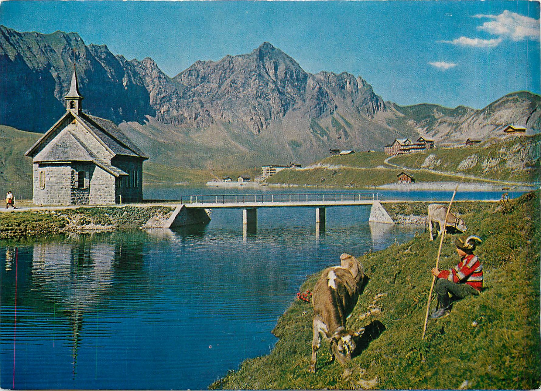 CPM Suisse Vache