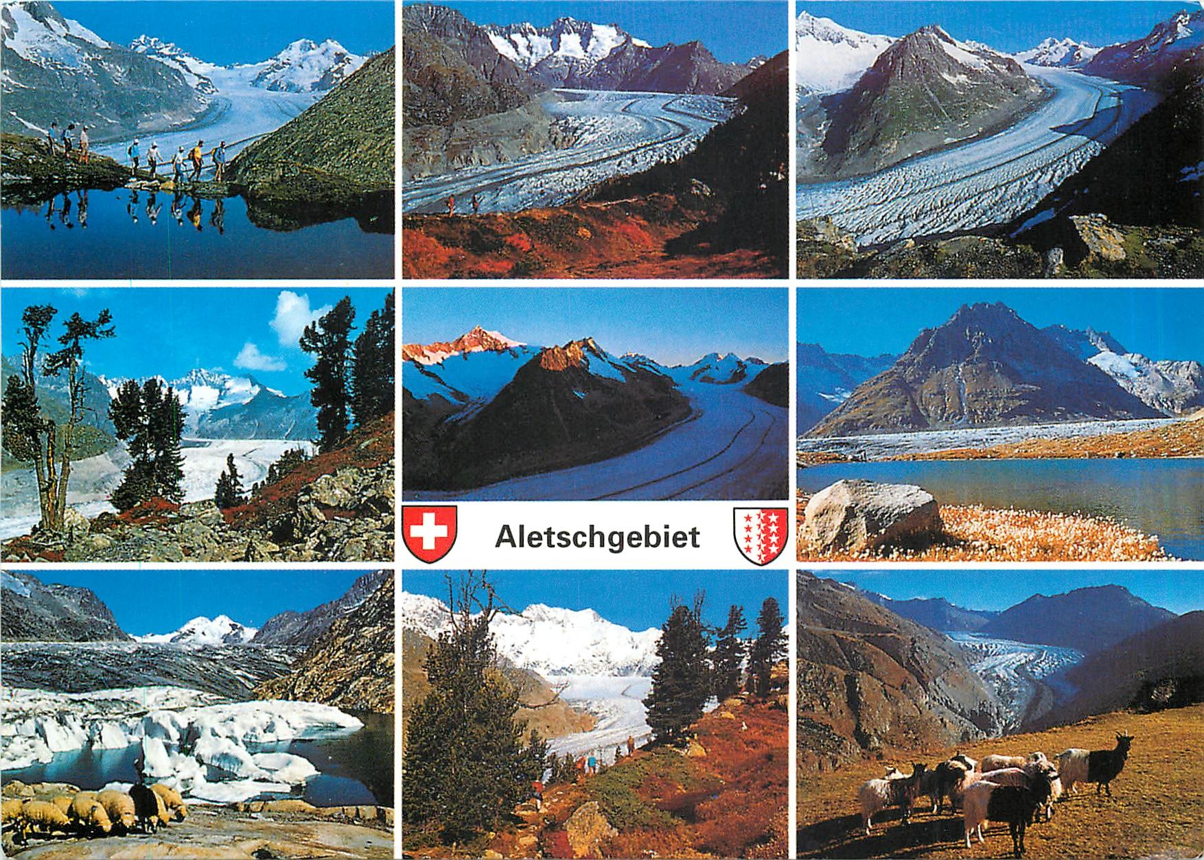 CPM Grosser Aletschgletscher Wallis Schweiz