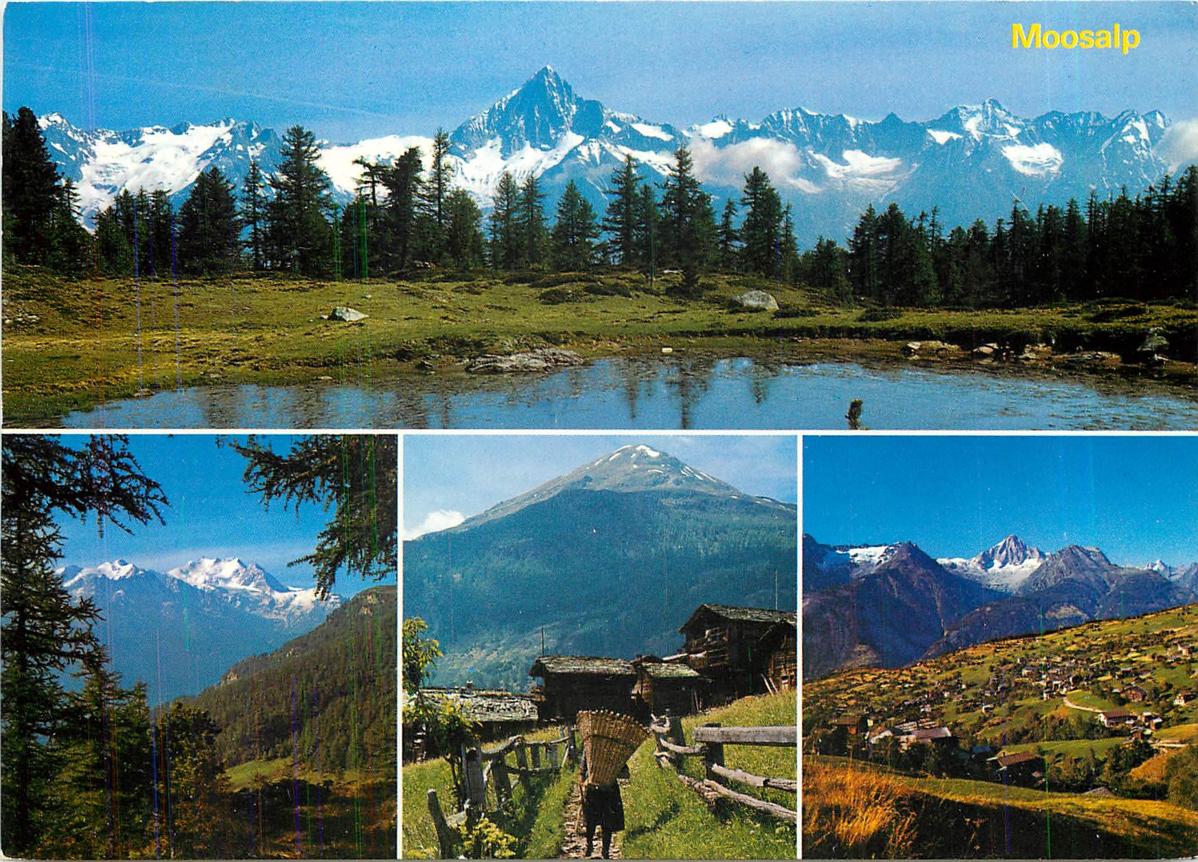 CPM Moosalp ob Burchen und Torbel Bergsee mit Bietschhorn 