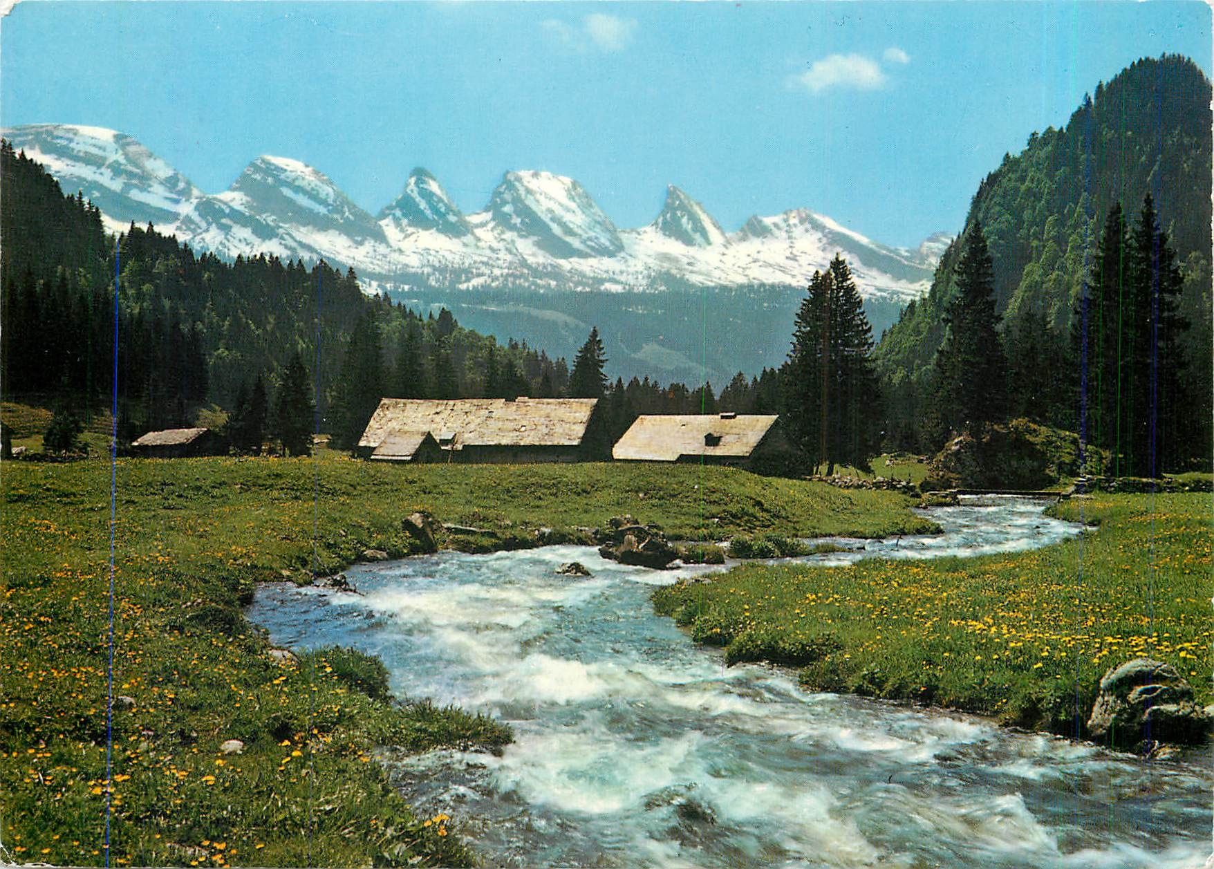 CPM Im Obertoggenburg Aelpli mit Churfirsten