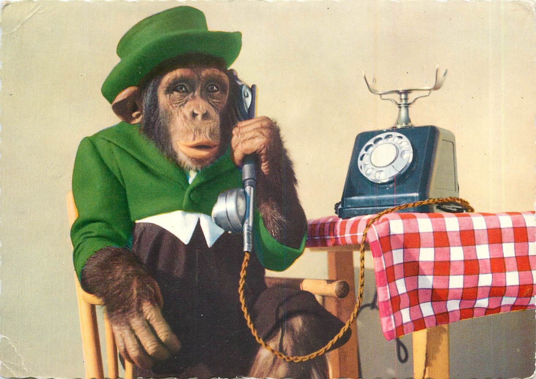 CPM Singe  Telephone