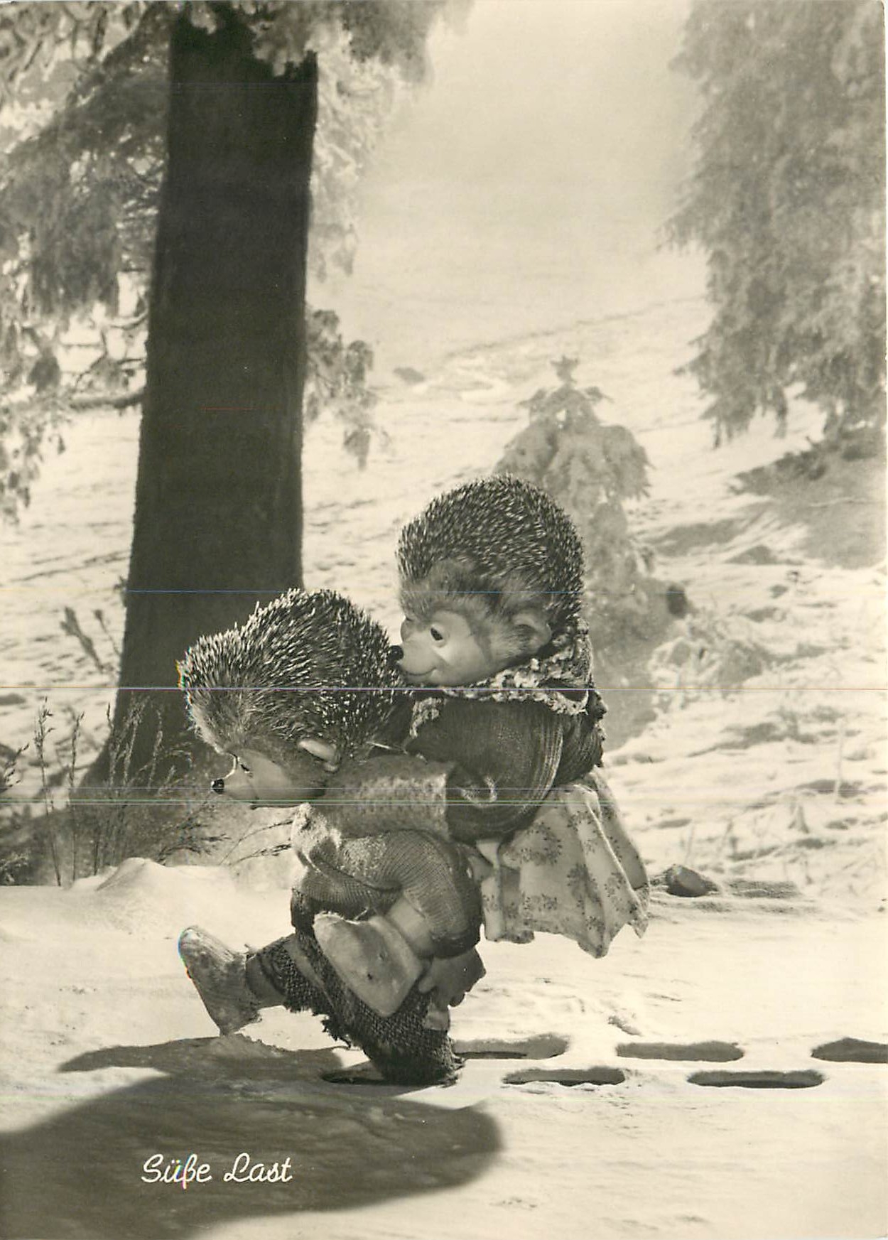 CPM Noth Diehl Film Herisson