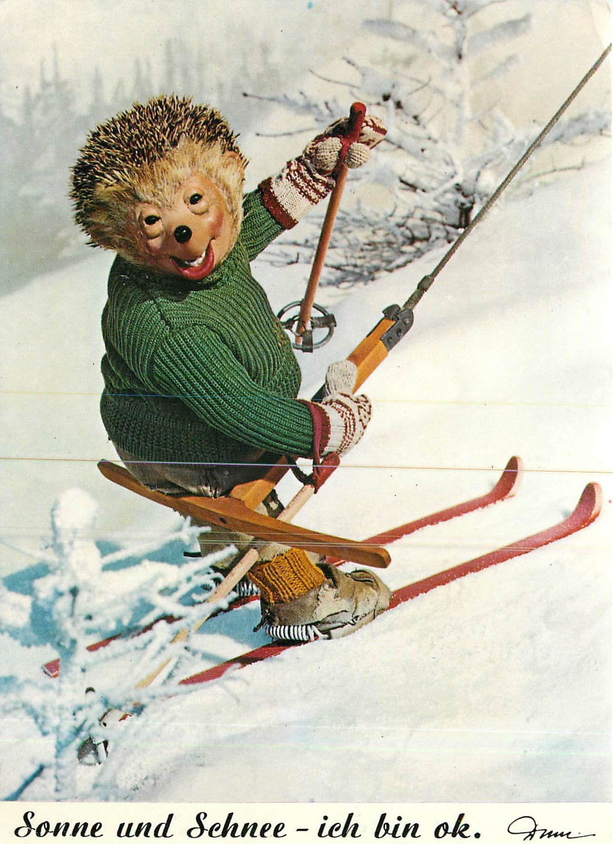 CPM Sonne und Schnee ich bin ok Herisson Ski