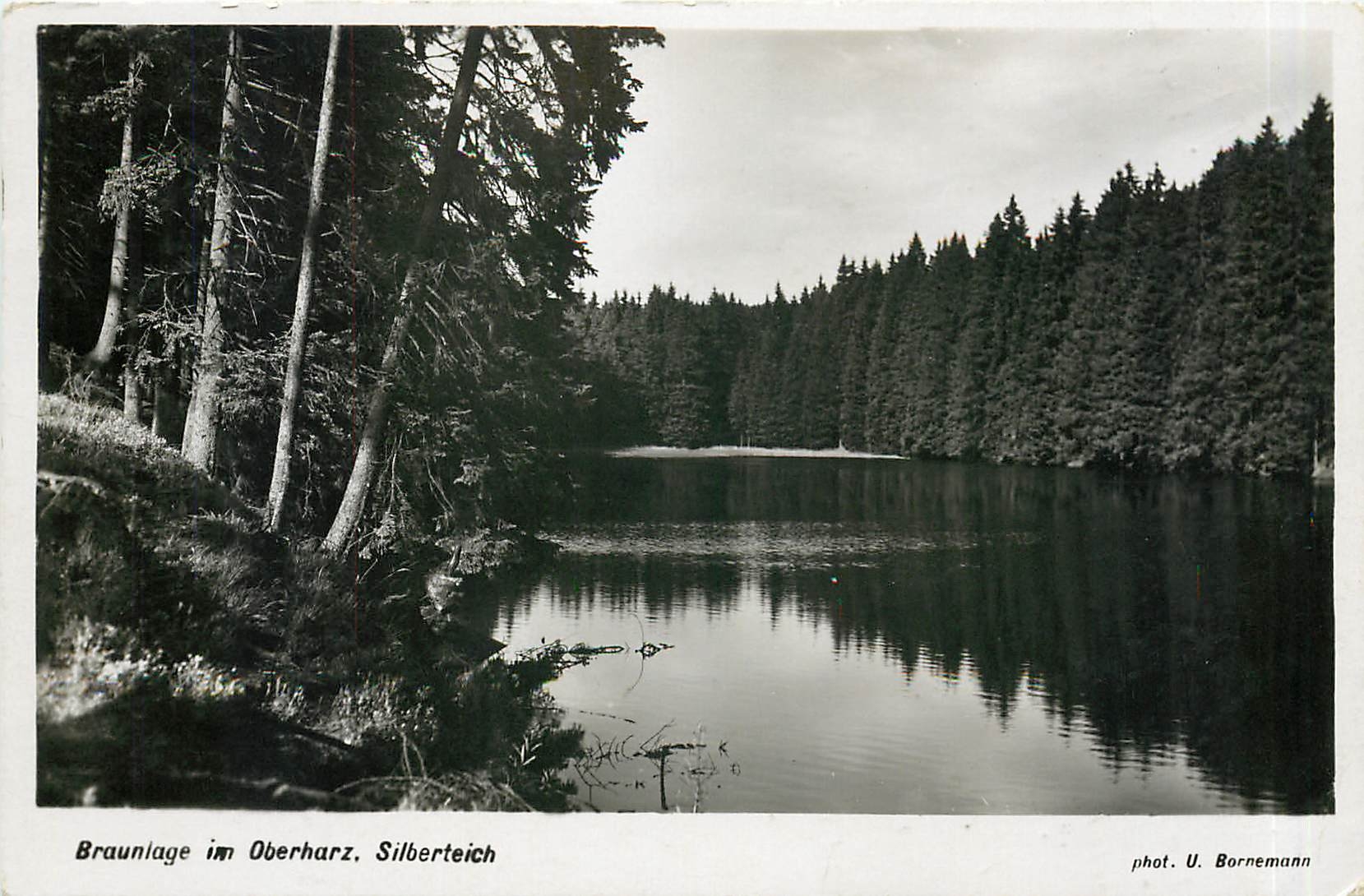 CPM Braunlage im Oberharz Silberteich 