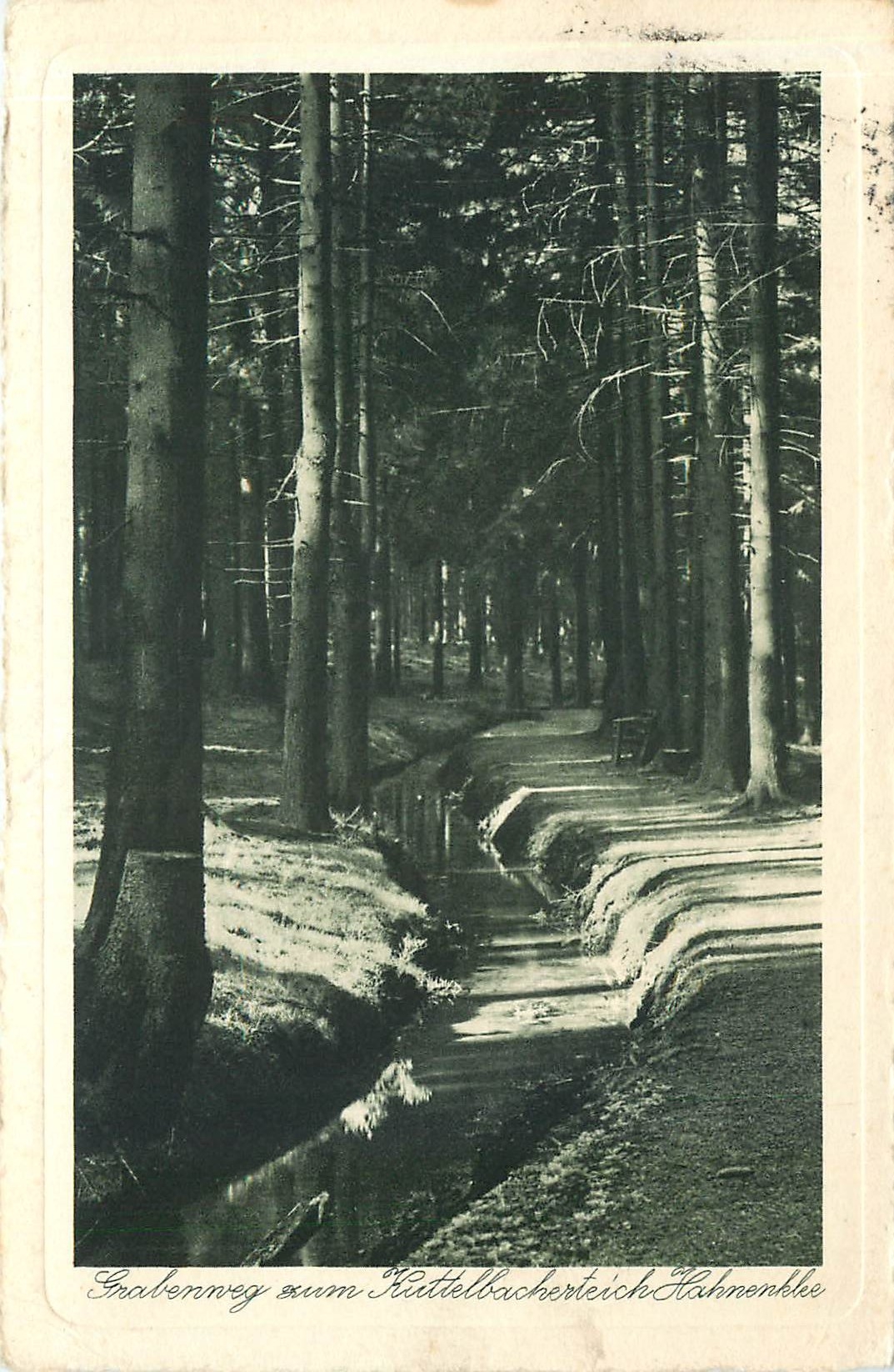 CPA Grabenweg zum Kuttelbacherteich Hahnenklee