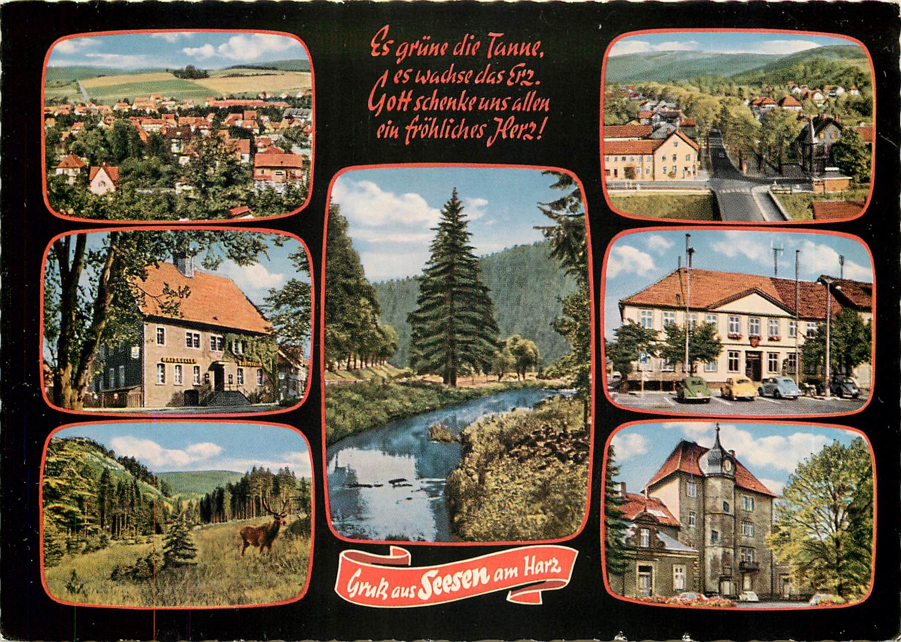 CPM Gruss aus Seesen am Harz 