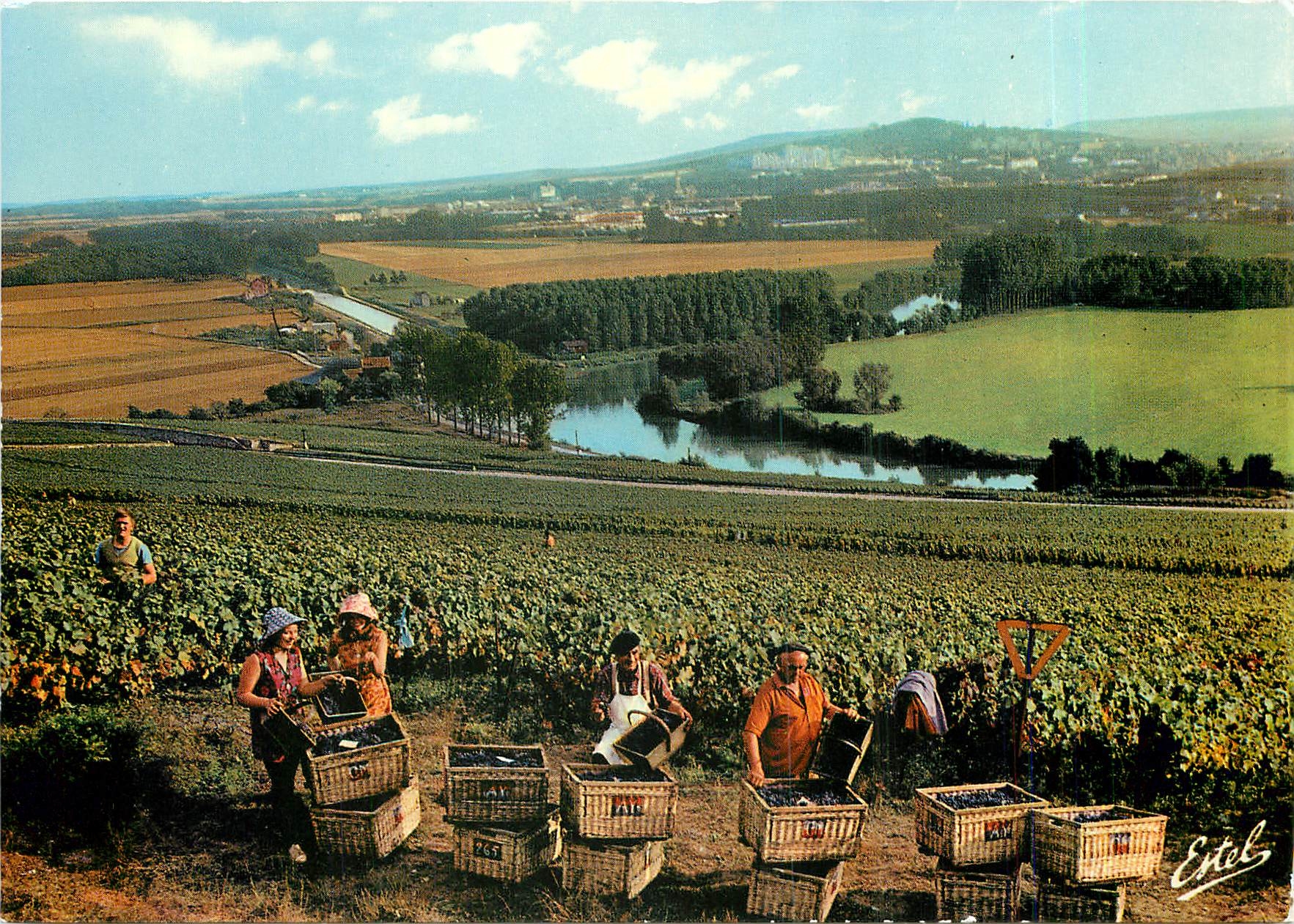 CPM Vendanges en Champagne Au dessus des meandres de la Marne au fond Epernay Folklore