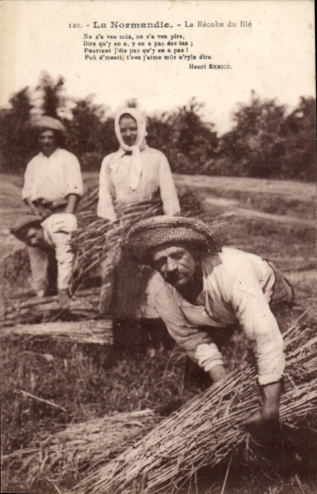 Normandy CPA the Corn harvest TOP (trades agriculture)