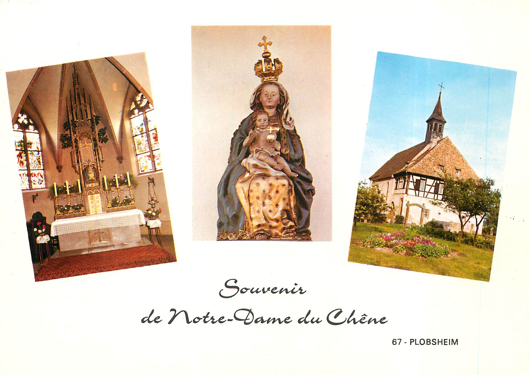 CPM Souvenir de Notre-Dame du Chene