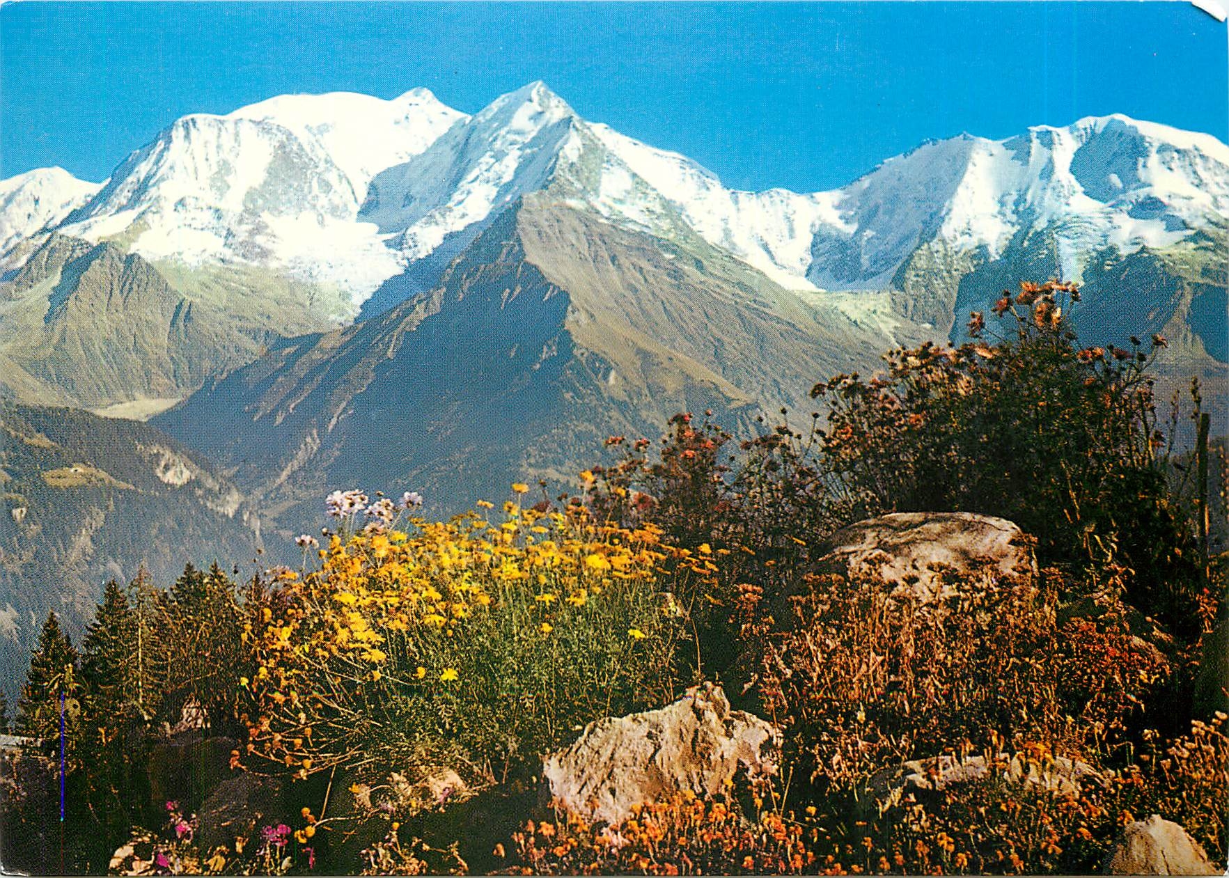 CPM Printemps en montagne au pied du Mont-Blanc