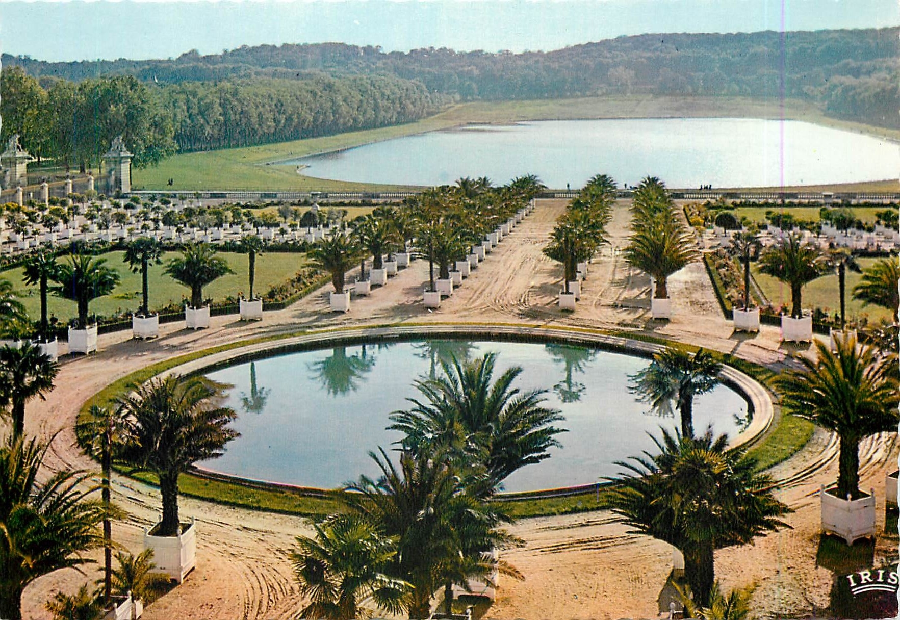 CPM Versailles L'Orangerie La Piece d'eau des Suisses