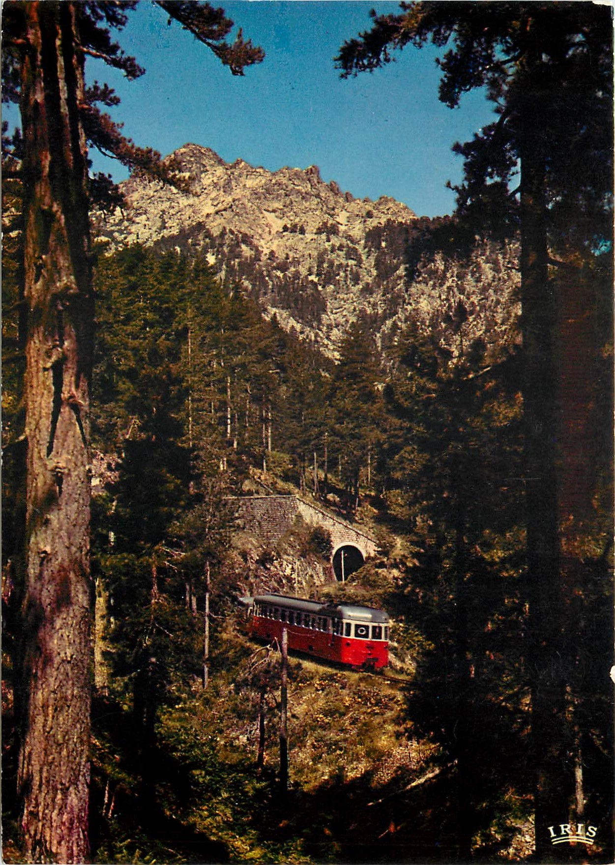 CPM CHARMES ET COULEURS DE LA CORSE